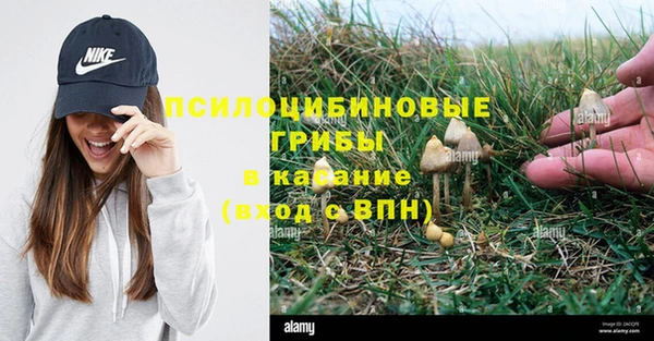 дурь Алексин